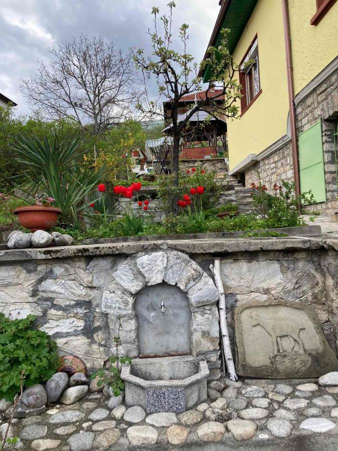 Vila Venera Velingrad Exterior photo